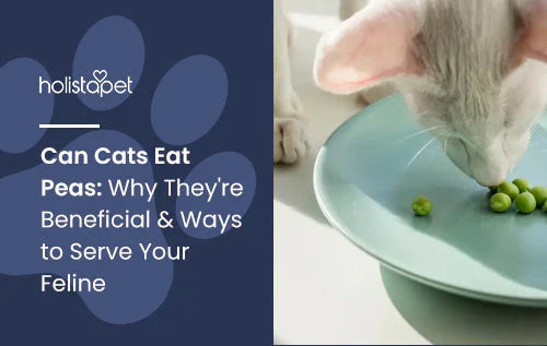 Can you give cats peas? Find out now!