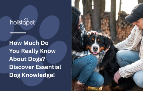 How Much Do You Really Know About Dogs? Discover Essential Dog Knowledge!
