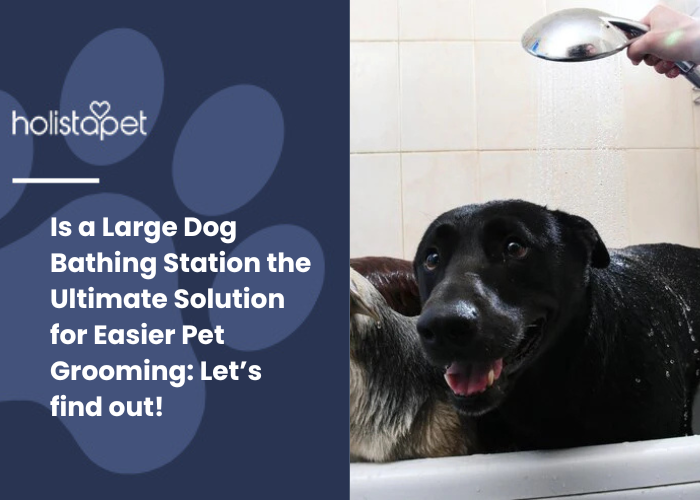 black dog taking a bath in a bath tub