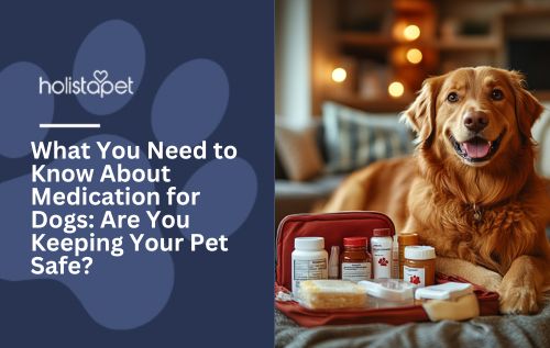 What You Need to Know About Medication for Dogs: Are You Keeping Your Pet Safe?