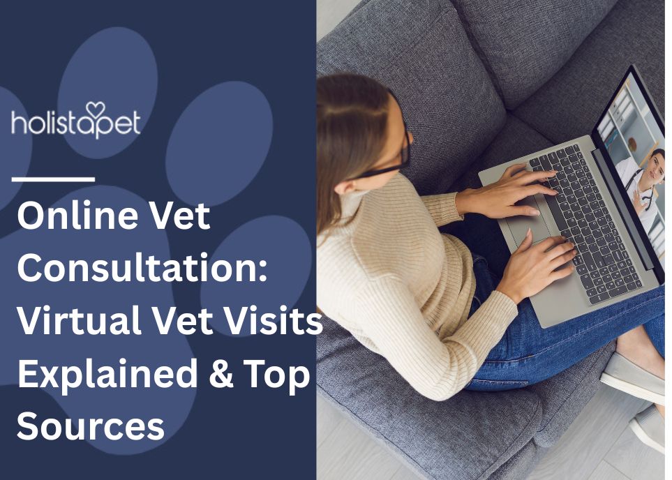 Online Vet Consultation Feature Image by Holistapet