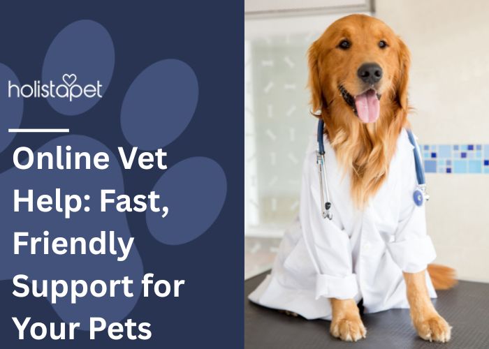 Online Vet Help Feature Image by Holistapet