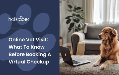 A Golden Retriever having an online vet visit in a living room.