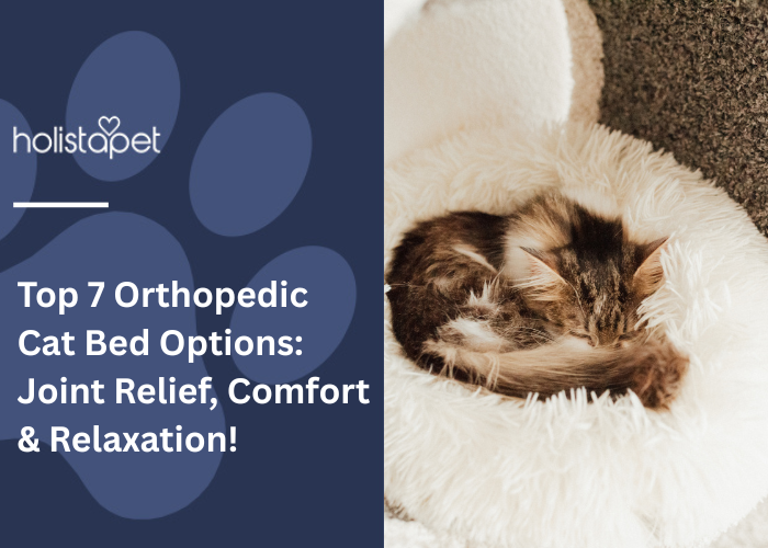 Top 7 Orthopedic Cat Bed Options featured blog image by Holistapet. a cat curled up and sleeping peacefully on a plush, fluffy bed, highlighting comfort and relaxation.