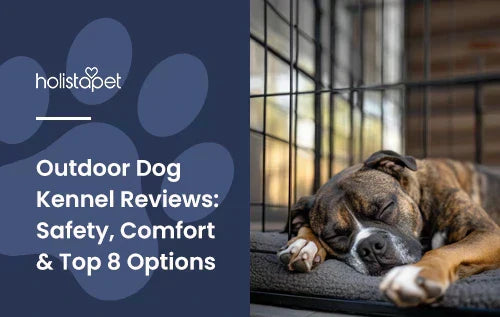 A boxer dog laying down in an outdoor dog kennel.