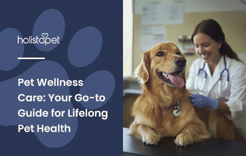 A golden retriever being checked up on by a vet.