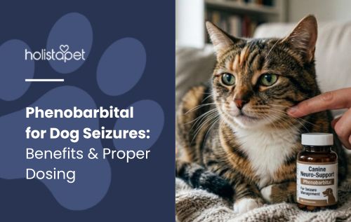 Blog header "Phenobarbital for Dog Seizures" with a tabby cat and a Canine Neuro-Support Phenobarbital supplement bottle.