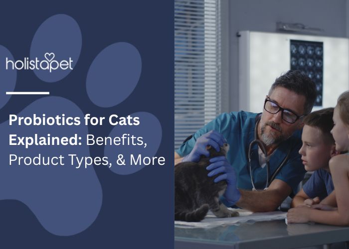 Probiotics for Cats Explained Feature Image by Holistapet