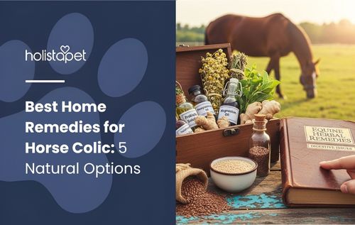 Home Remedies for Horse Colic — a wooden chest with bottles and jars on a rustic table, with a horse grazing behind.