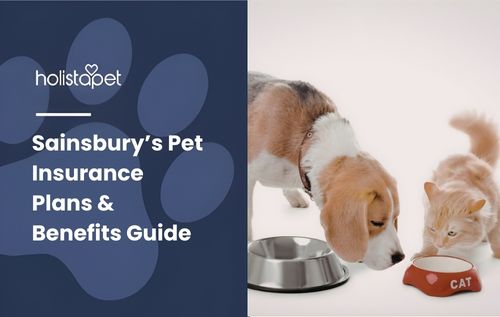 A beagle dog and a small dog eating from their respective bowls at home, featured in Sainsbury’s Pet Insurance Plans & Benefits Guide highlighting responsible pet care and coverage options.