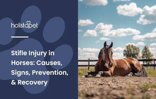 A brown horse laying down in a horse pen.