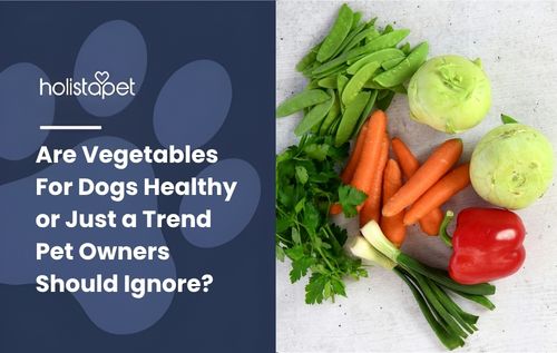 Are Vegetables For Dogs Healthy or Just a Trend Pet Owners Should Ignore?