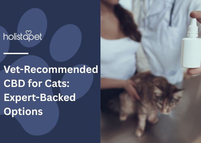 Vet-Recommended CBD for Cats Feature Image by Holistapet
