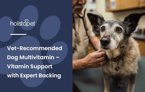 A dog getting a checkup by a vet with the title "Vet reccomended dog multivitamin".