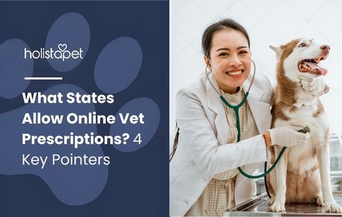 Veterinarian in white coat examining a husky dog, illustrating what states allow online vet prescriptions and modern veterinary care.