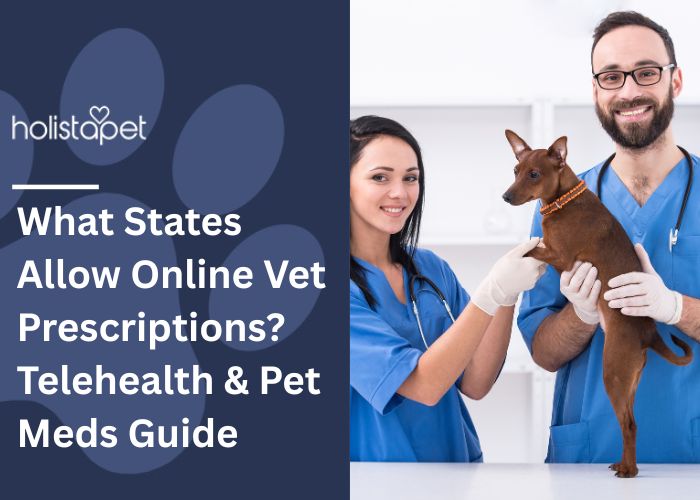 What States Allow Online Vet Prescriptions Feature Image by Holistapet