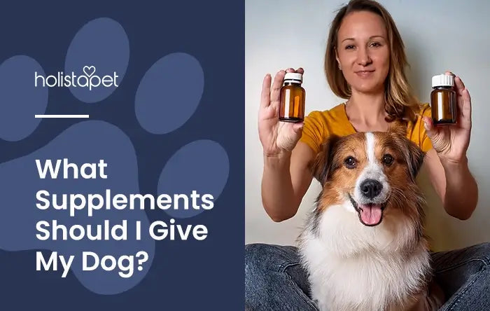 What Supplements Should I Give My Dog featured blog image by Holistapet. Shows a woman with a Collie dog sitting between her legs. The woman is holding up two generic supplement bottles.