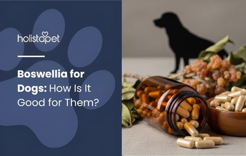 Boswellia for Dogs capsules spilling from a glass bottle beside a wooden bowl of dried berries.