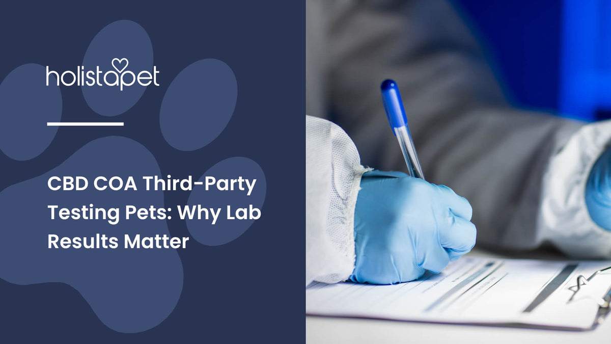 CBD COA Third-Party Testing Pets (featured blog image by Holistapet) shows a scientist writing information about lab results