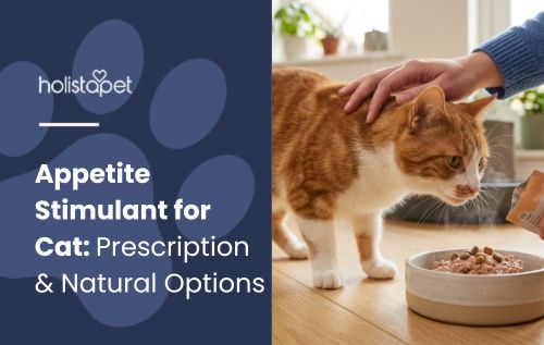 Appetite Stimulant for Cat: Prescription & Natural Options