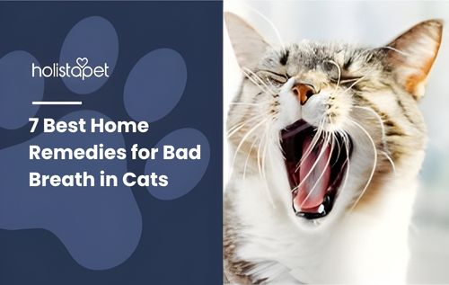 A close-up of a tabby cat yawning widely, revealing its pink tongue and sharp teeth, with a subtle visual cue of bad breath—such as faint greenish odor lines or a slightly exaggerated expression to suggest an unpleasant smell.