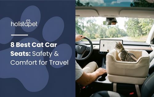 A cat rides in a carrier on a car seat, showcasing one of the best cat car seats for safe travel.