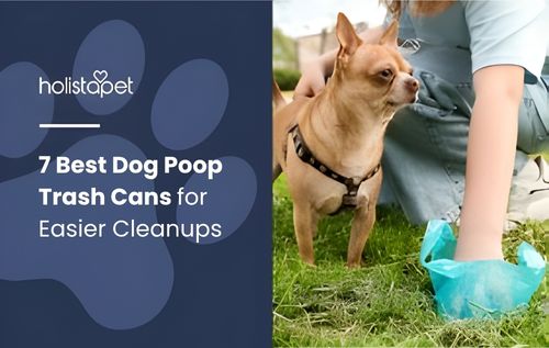 A person is picking up dog waste with a blue bag in a grassy area, with a small dog nearby.
