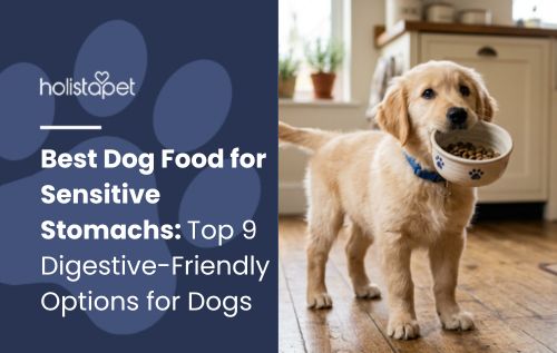 Best Dog Food for Sensitive Stomachs: Top 9 Digestive-Friendly Options for Dogs