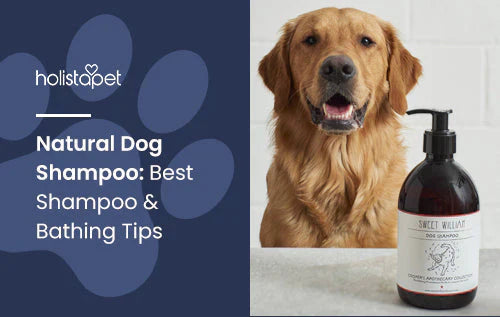 natural dog shampoos that is good for your furry friend