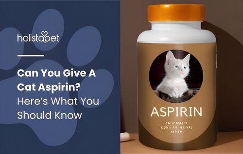 A brown bottle with an orange cap, featuring a circular label with a white cat illustration and grey cat illustration, alongside text discussing can you give a cat aspirin and important pet medication safety information below.