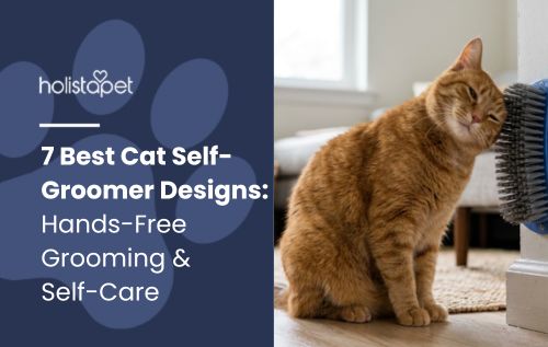 7 Best Cat Self-Groomer Designs: Hands-Free Grooming & Self-Care