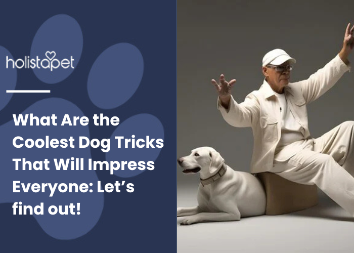 A man with his white dog doing unique tricks