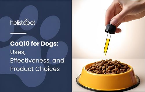 A hand is dropping a yellow liquid from a dropper into a bowl of pet food.