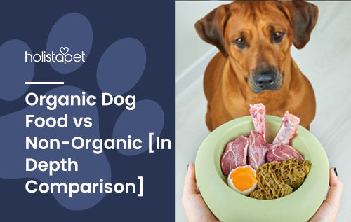 complete comparison between organic vs non-organic dog food