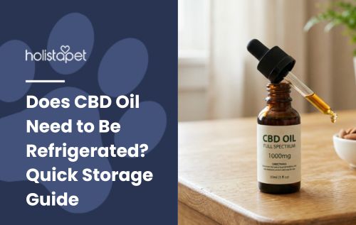 HolistaPet blog header "Does CBD Oil Need to Be Refrigerated?" beside a HolistaPet CBD Oil Full Spectrum 1000mg bottle.