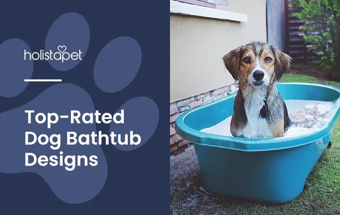 Dog Bathtub featured blog image by Holistapet. Shows a dog in an outdoor blue bathtub on a grass lawn.