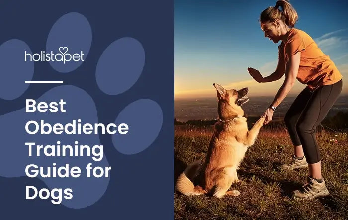 Dog Obedience Training featured blog image by Holistapet. Shows a woman training a German Shepherd how to sit (outdoors during sunset)