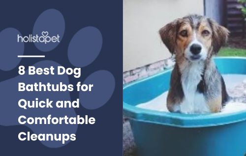 8 Best Dog Bathtubs for Quick and Comfortable Cleanups