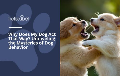 Why Does My Dog Act That Way? Unraveling the Mysteries of Dog Behavior