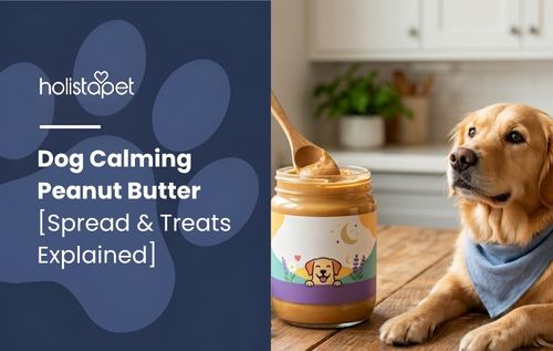 A Golden Retriever wearing a blue bandana sits next to a jar of dog calming peanut butter with a wooden spoon.
