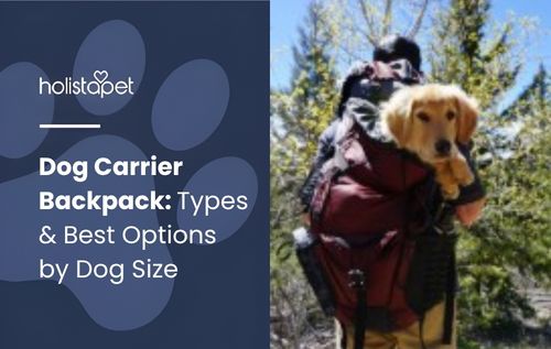 A person carrying a dog carrier backpack holds a golden retriever puppy comfortably outdoors, with trees and natural greenery in the background.