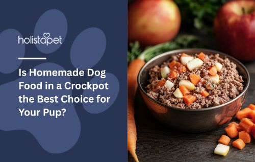 A bowl of homemade dog food.