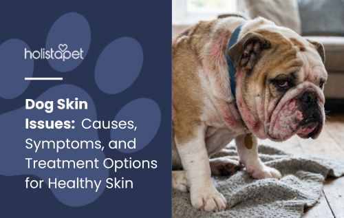 Dog Skin Issues: Causes, Symptoms, and Treatment Options for Healthy Skin