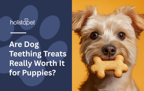 Are Dog Teething Treats Really Worth It for Puppies?