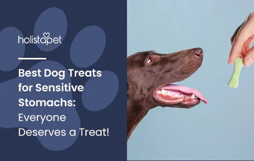 top dog treats for sensitive stomachs