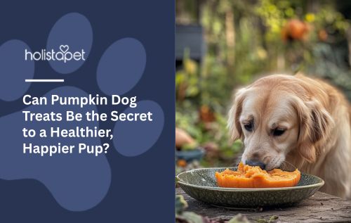 Can Pumpkin Dog Treats Be the Secret to a Healthier, Happier Pup?