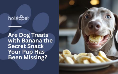 Are Dog Treats with Banana the Secret Snack Your Pup Has Been Missing?