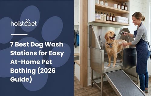 A golden retriever is being groomed at one of the dog wash stations, with grooming products in the background.