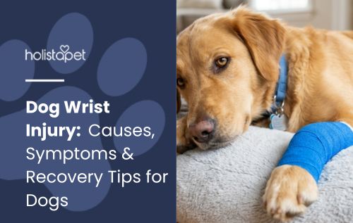 Dog Wrist Injury: Causes, Symptoms & Recovery Tips for Dogs