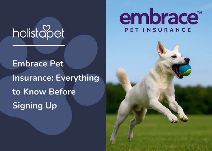 Embrace Pet Insurance: Everything to Know Before Signing Up